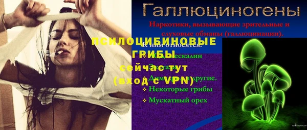 герыч Абаза